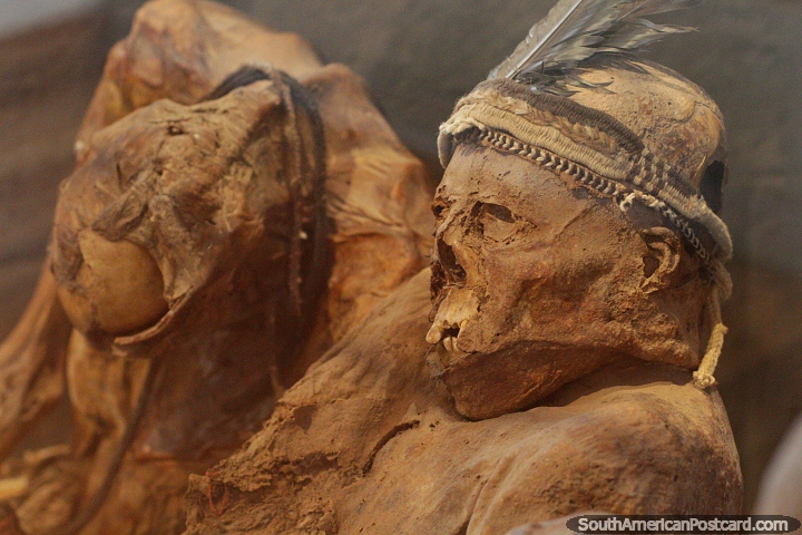 Pair of mummies, one with feathers around the head, seen at Carlos Dreyer Museum in Puno. (720x480px). Peru, South America.
