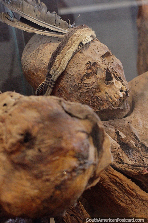 Mummies, the great treasure of Sillustani, servants discovered in 1971, Carlos Dreyer Museum, Puno. (480x720px). Peru, South America.