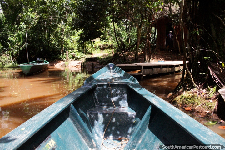 Inicio del viaje en barco desde el bosque hasta el lago en la Reserva Nacional Tambopata en Puerto Maldonado. (720x480px). Per, Sudamerica.
