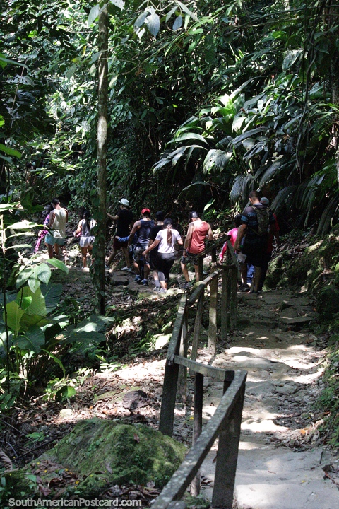 Caminata a cascadas y pozas de agua en la selva de Tarapoto. (480x720px). Per, Sudamerica.