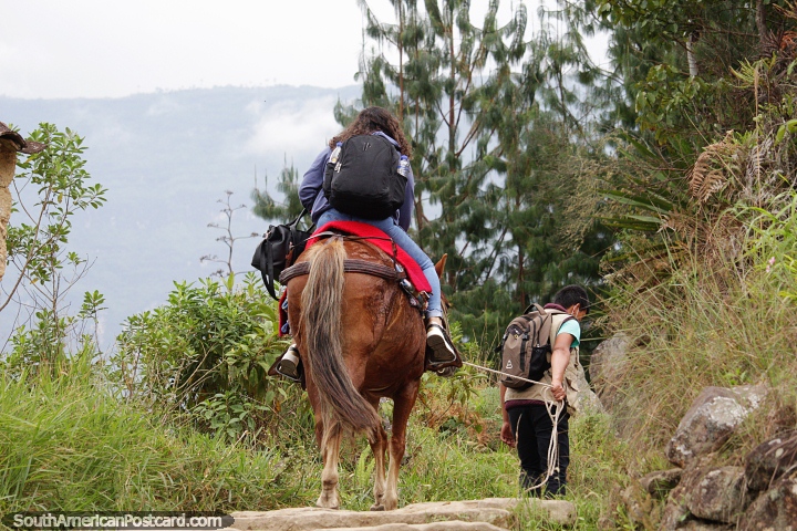 Pegue um cavalo até as Cataratas de Gocta em Chachapoyas, muito mais fácil do que caminhar. (720x480px). Peru, América do Sul.
