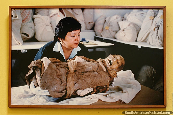 An archeologist studies a mummy from the big collection at Leymebamba museum. (720x480px). Peru, South America.