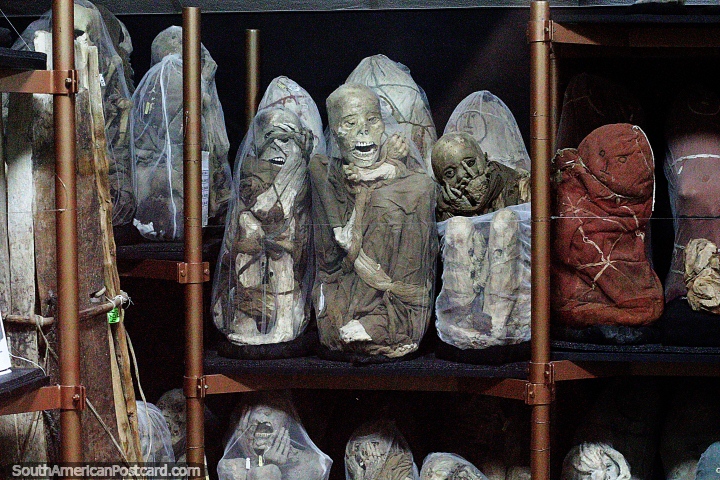Una sala llena de momias en el museo Leymebamba, fascinante! (720x480px). Per, Sudamerica.