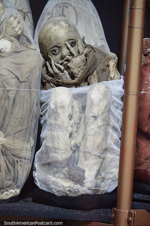 Mummies found at the Lagoon of the Condors displayed at Leymebamba museum. (480x720px). Peru, South America.