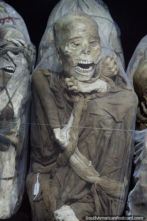 Expressions of horror on the faces of these mummies at Leymebamba museum. (480x720px). Peru, South America.
