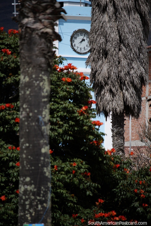 Torre del reloj azul y rboles coloridos en la plaza Celendin. (480x720px). Per, Sudamerica.