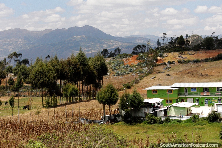 Pastos, jardines de rocas, montañas y árboles en el hermoso campo alrededor de Chota. (720x480px). Perú, Sudamerica.