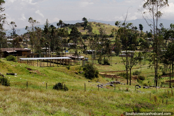 Tierras de cultivo y colinas con muchos rboles esparcidos alrededor, cerca de Chota. (720x480px). Per, Sudamerica.