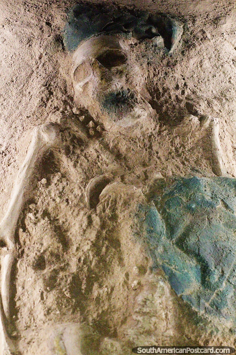 Skeleton of the guardian of the tomb, exact reproduction, Sipan museum, Lambayeque. (480x720px). Peru, South America.