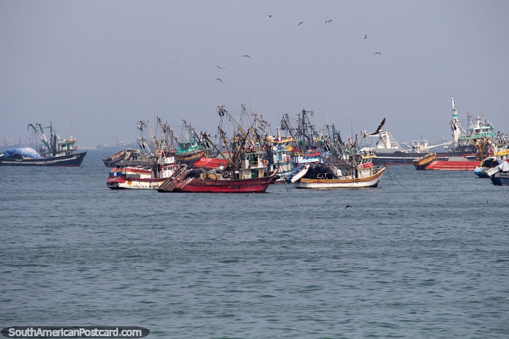 Barcos de pesca no porto de Chimbote, uma cidade portuária. (720x480px). Peru, América do Sul.