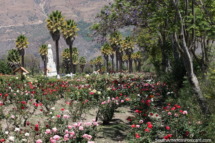 Beautiful and peaceful surroundings at Campo Santo with flower gardens and palms, Yungay. (720x480px). Peru, South America.
