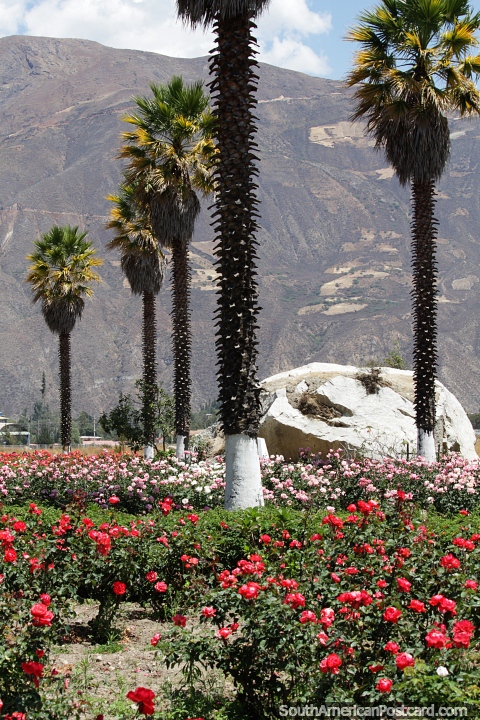 Huge boulder among flowers and palm trees at Campo Santo, Yungay. (480x720px). Peru, South America.