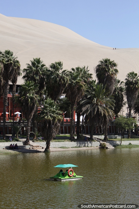 Huacachina lagoon, just 15mins  from the city of Ica. (480x720px). Peru, South America.