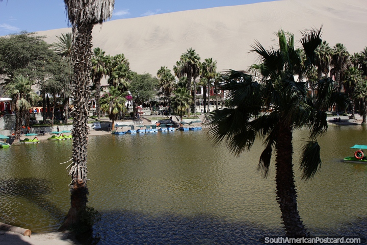 Beautiful lagoon at Huacachina with a lot of fun to be had. (720x480px). Peru, South America.