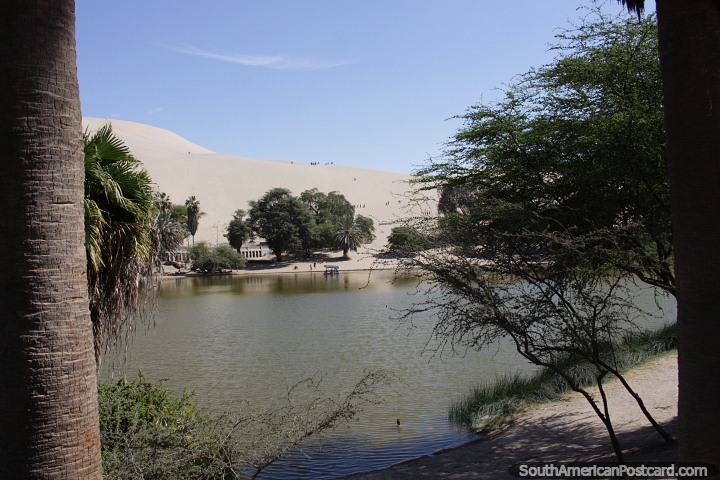 Looks like nobody else is here at Huacachina, but that is not the case. (720x480px). Peru, South America.