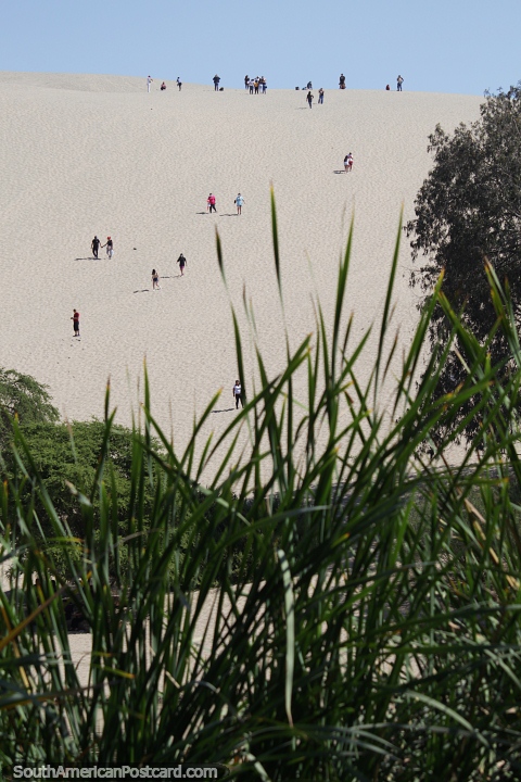 As pessoas sobem e descem as enormes dunas de areia em Huacachina. (480x720px). Peru, América do Sul.