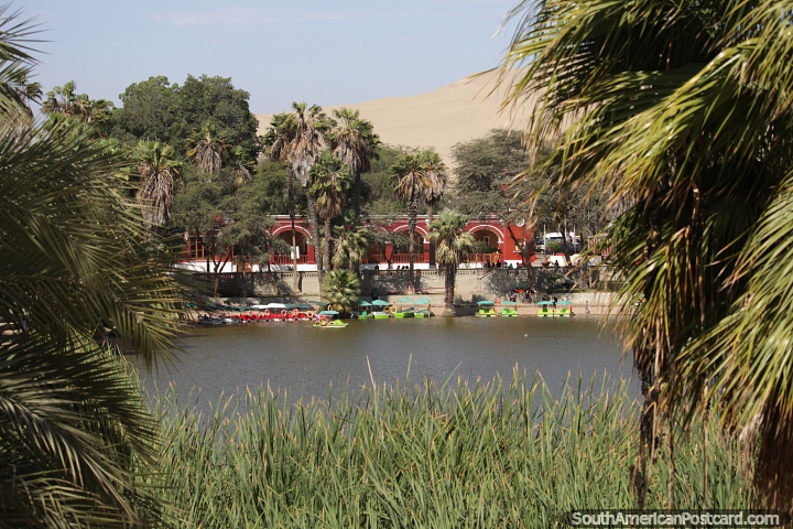 A green oasis surrounded by sand dunes at Huacachina lagoon. (720x480px). Peru, South America.