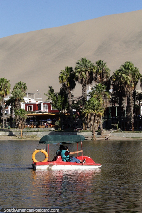 Bote a pedales en la laguna, diversión con un lindo entorno en Huacachina. (480x720px). Perú, Sudamerica.