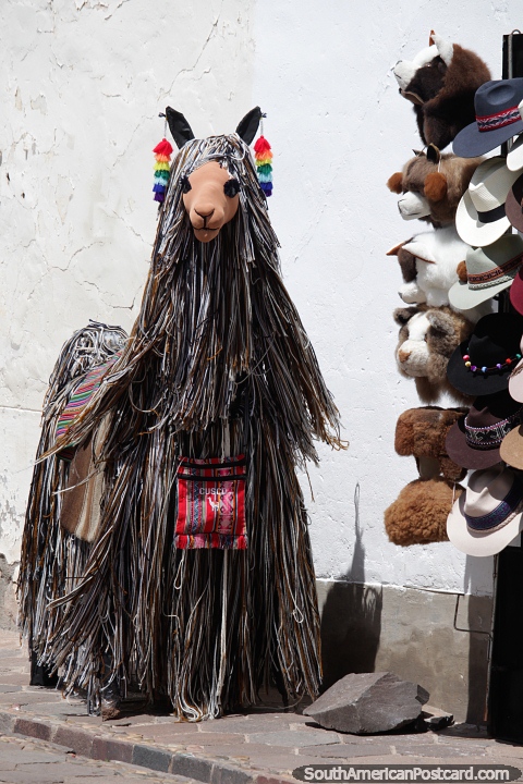 Llama peluda afuera de una tienda de sombreros y moda en Cusco. (480x720px). Perú, Sudamerica.