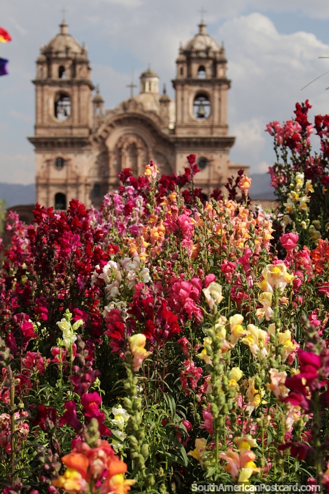 Belos jardins de flores com um arco-íris de cores, Plaza de Armas, Cusco. (480x720px). Peru, América do Sul.