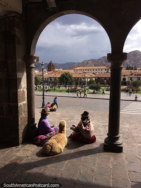 Fluffy brown alpaca sits with her owners in an archway at the plaza in Cusco. (480x640px). Peru, South America.
