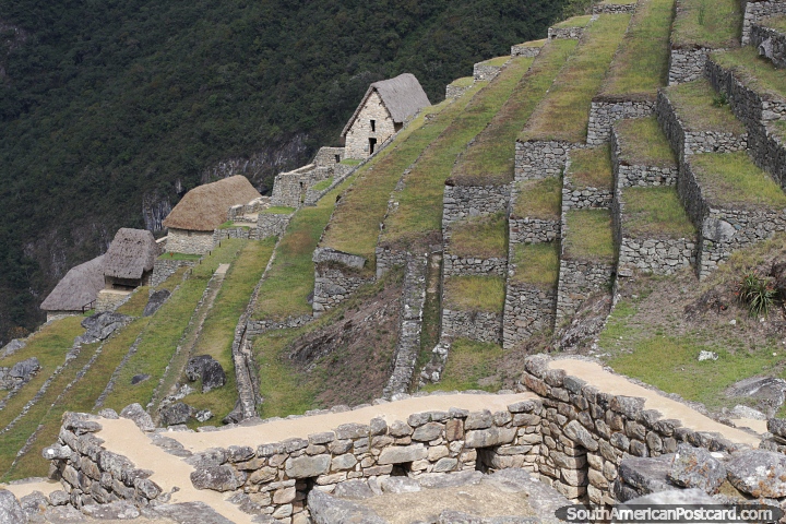Muitos níveis de grama suportados por pedra com telhado de palha casas de pedra em Machu Picchu. (720x480px). Peru, América do Sul.