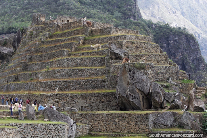 Siga los senderos para caminar alrededor de las ruinas de Machu Picchu en las montaas a 80km de Cusco. (720x480px). Per, Sudamerica.