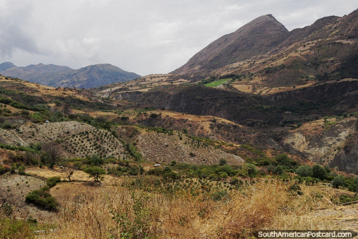 Verdes montaas y pastos entre Abancay y Limatambo. (720x480px). Per, Sudamerica.