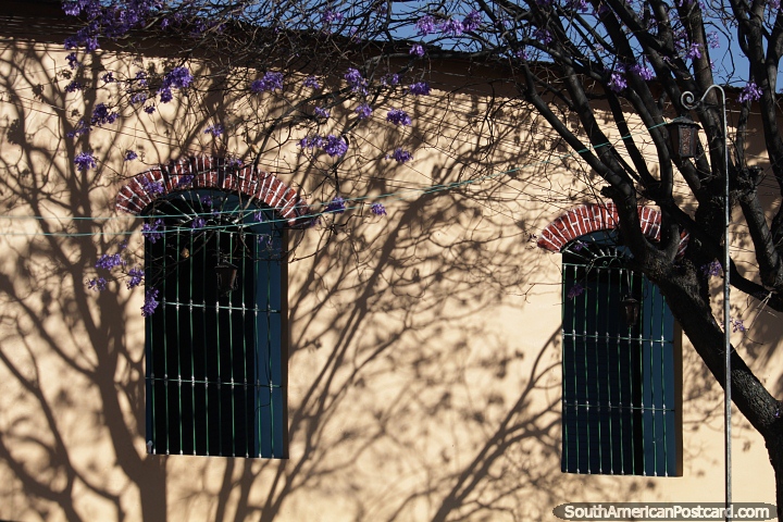 Janelas com arcos de tijolos, uma árvore com flores roxas e sombras em Ayacucho. (720x480px). Peru, América do Sul.