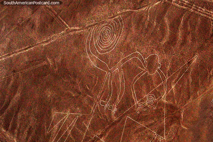 The Monkey and his curly tail, the famous Nazca Lines. (720x480px). Peru, South America.