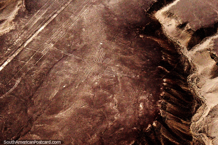 O Beija-flor à esquerda de um desfiladeiro nas Linhas de Nazca. (720x480px). Peru, América do Sul.