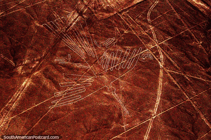 The Condor, geoglyph etched in the Nazca Desert. (720x480px). Peru, South America.