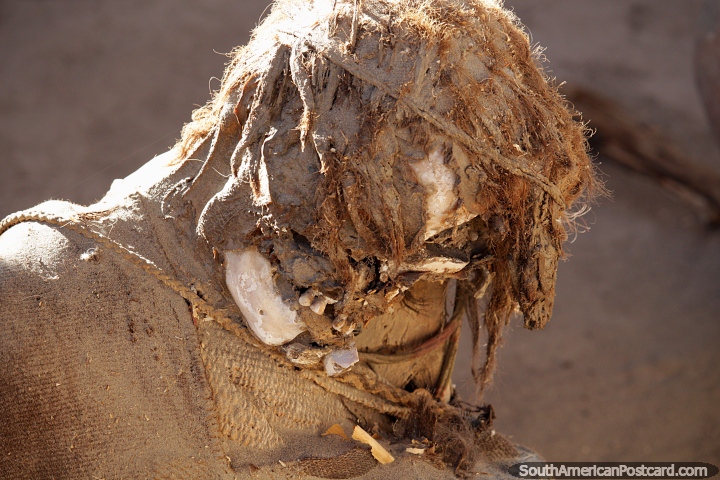 Restos humanos mumificados pré-hispânicos no cemitério de Chauchilla, em Nazca. (720x480px). Peru, América do Sul.