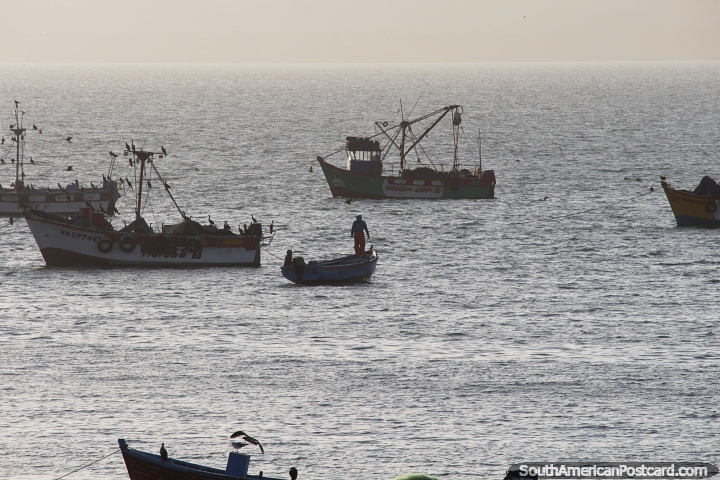 Perspectiva para o oceano em Paracas com barcos de pesca atracados. (720x480px). Peru, América do Sul.