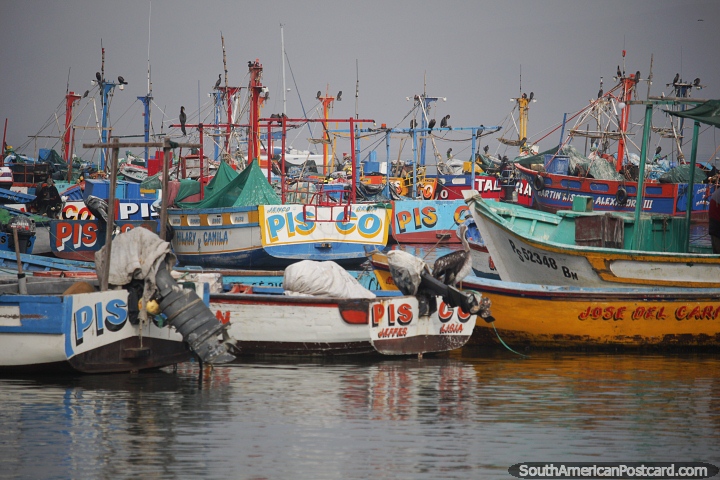 Barcos de pesca Pisco ancorados na baía de Paracas. (720x480px). Peru, América do Sul.