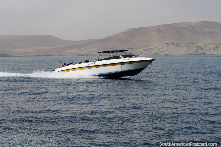 Passenger speed boat takes a group of people out to Islas Ballestas in Paracas. (720x480px). Peru, South America.