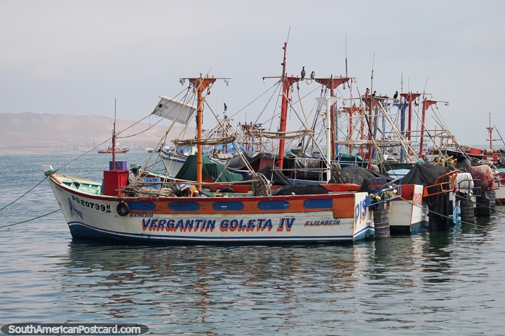 Barcos de pesca ancorados juntos na baa de Paracas, guas calmas. (720x480px). Peru, Amrica do Sul.