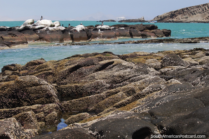 Paradise of rocks and coastline with beautiful ocean at Paracas National Park. (720x480px). Peru, South America.