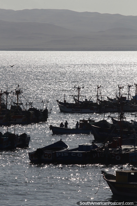 O sol se pe na baa de Paracas, os barcos tornam-se sombras. (480x720px). Peru, Amrica do Sul.