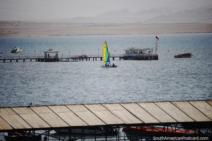 Velero en las aguas, buen viento en Paracas. (720x480px). Per, Sudamerica.