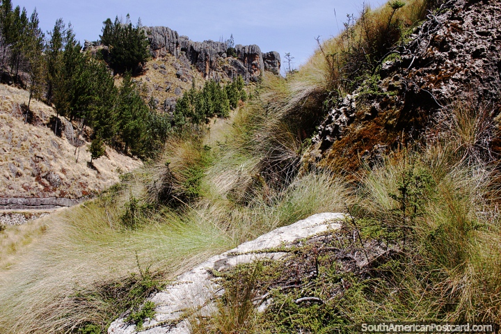 Enjoy walking around the great rock gardens of Cumbemayo, tours leave from Cajamarca. (720x480px). Peru, South America.