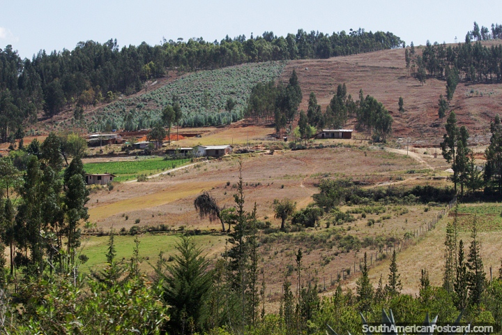 Campo y tierras de cultivo en las montañas entre Cajamarca y Namora. (720x480px). Perú, Sudamerica.