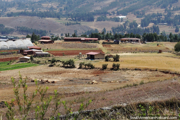 Farms, sheds and crop growing land, the countryside between Cajamarca and Namora. (720x480px). Peru, South America.