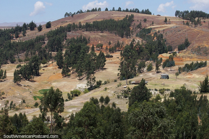 Paisaje cubierto de árboles alrededor de las colinas de Namora. (720x480px). Perú, Sudamerica.