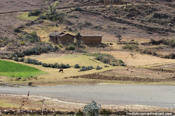 Countryside with animals near the lagoon in Namora. (720x480px). Peru, South America.