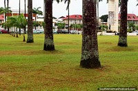 Versão maior do Place des Palmistes, a praça pública principal em Cayenne com palmeiras, Guiana Francesa.