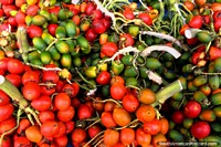 Chiles verdes presumo Roja y venden en los mercados en Cayenne, Guayana Francesa. Las 3 Guayanas, Sudamerica.
