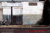 Rambutan vermelho em uma rua cinza depois de dia de mercado em Cayenne em Guiana Francesa. As 3 Guianas, América do Sul.
