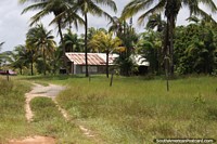 Uma casa de païs abaixo de palmeiras entre Kourou e Saint Laurent du Maroni em Guiana Francesa. As 3 Guianas, América do Sul.