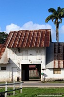 An old building with palm tree behind in Saint Laurent du Maroni in French Guiana.